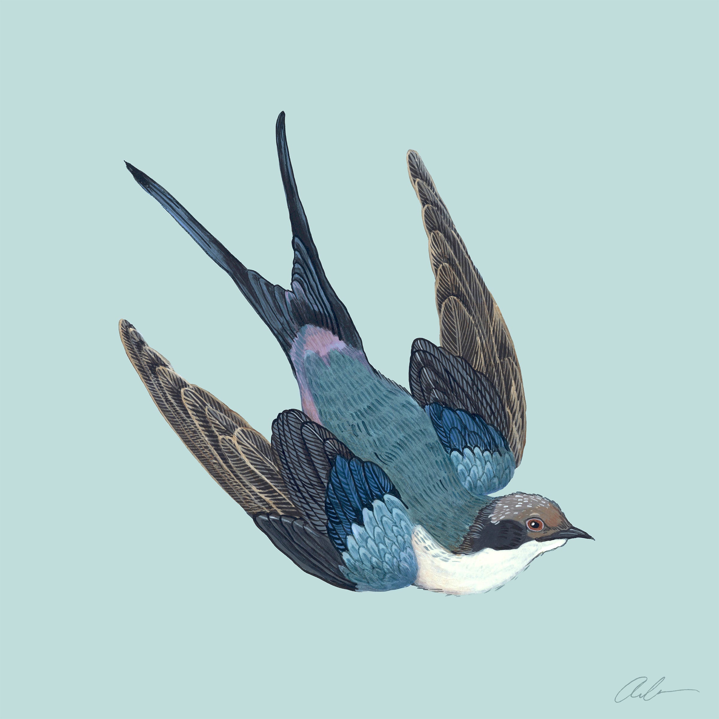 Dragable Image