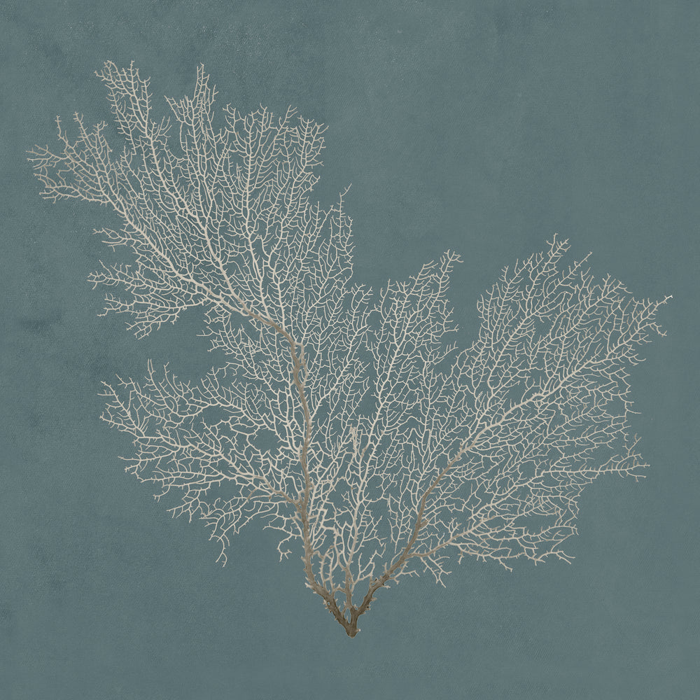 Beauty Under the Sea VII