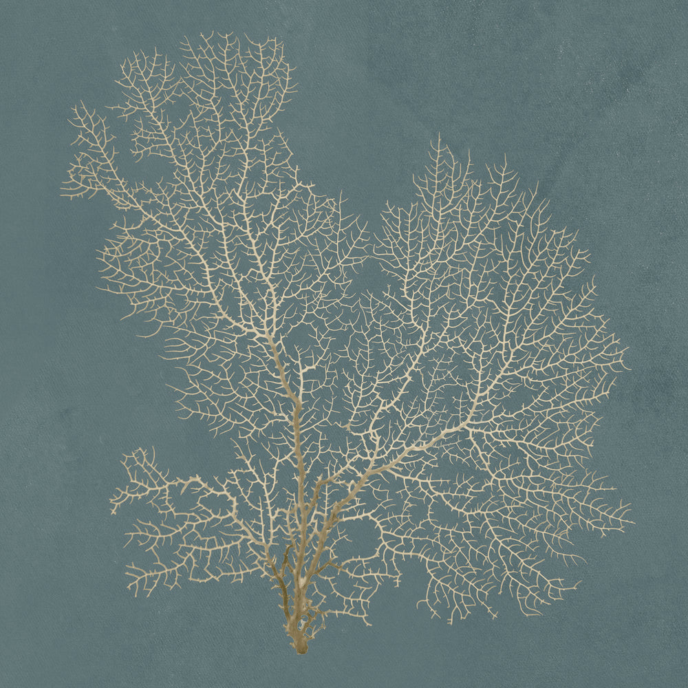 Beauty Under the Sea IX