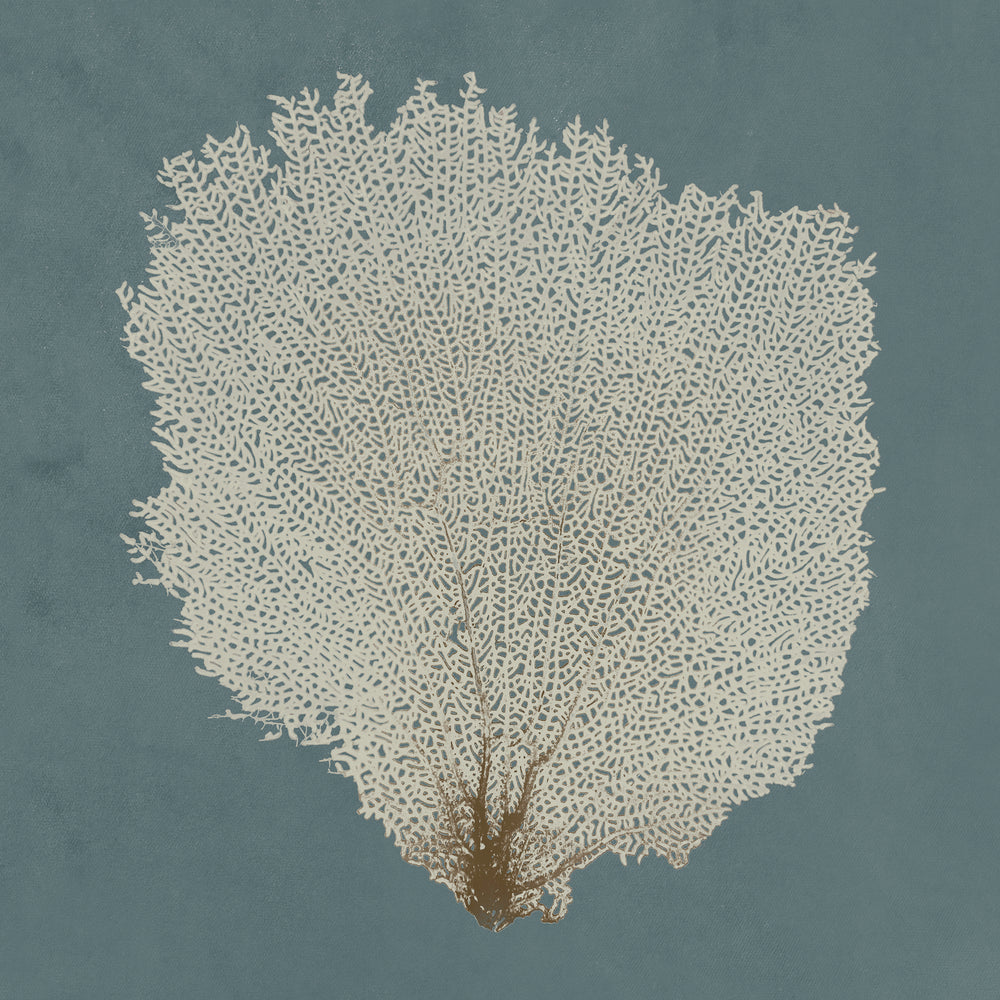 Beauty Under the Sea XII