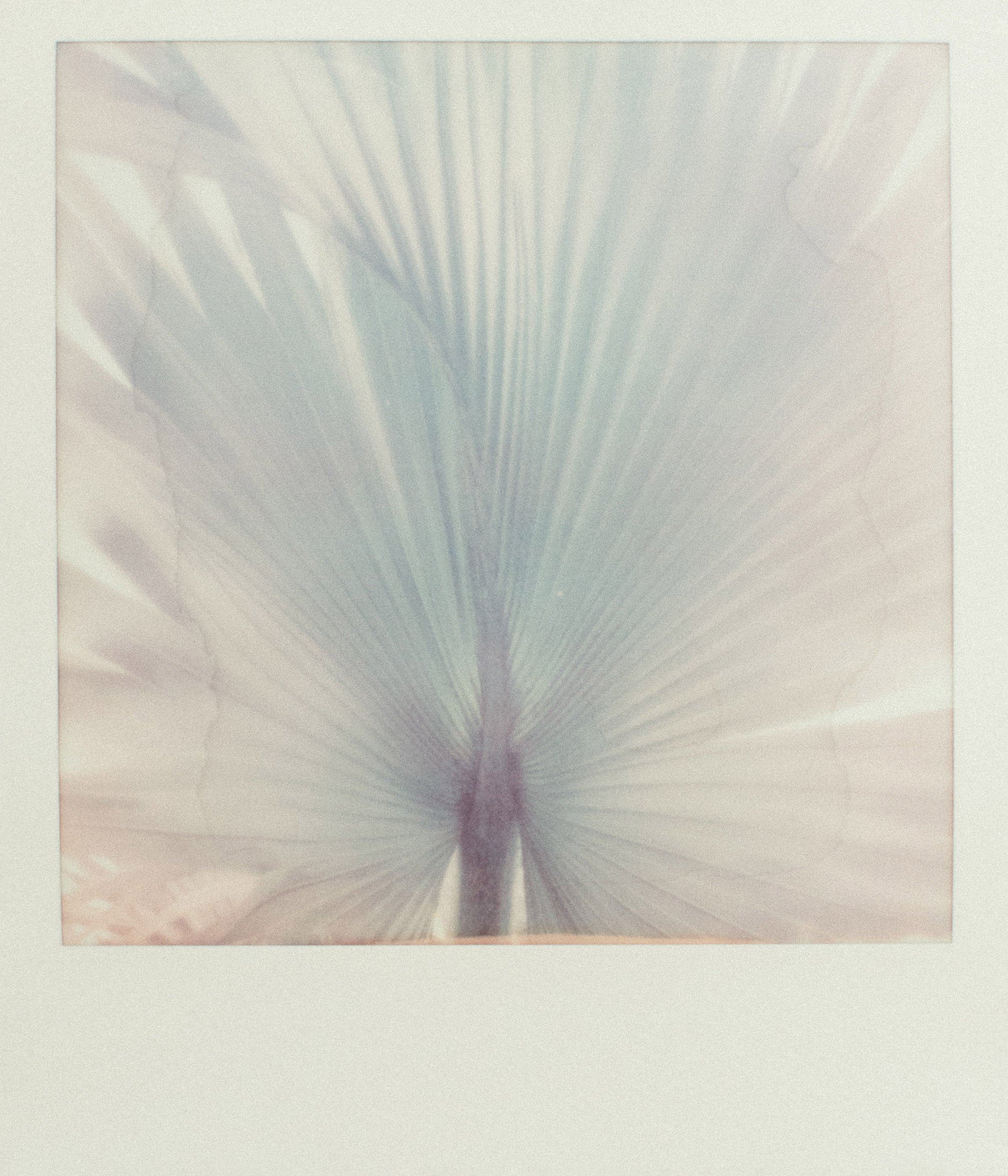 Dragable Image