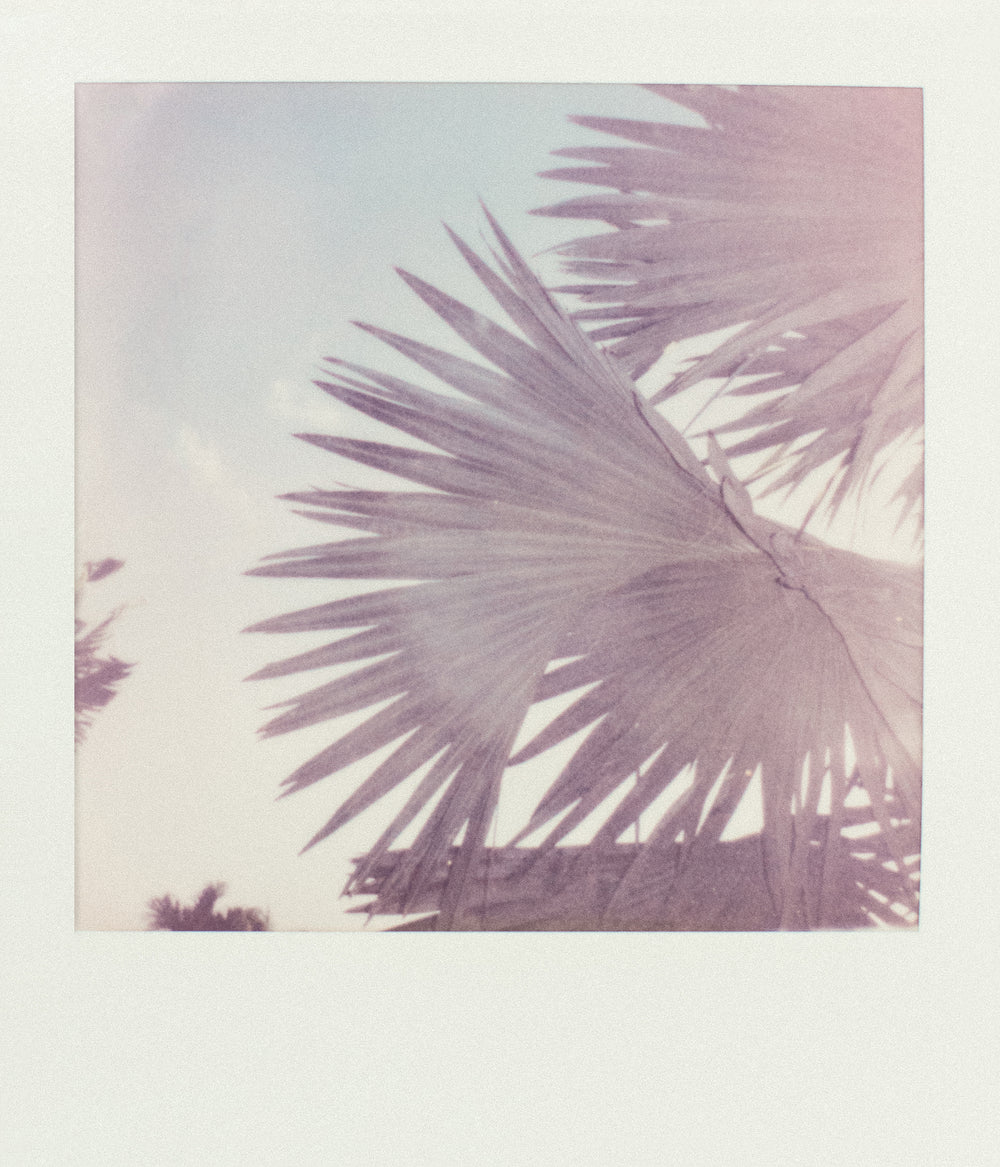 Coastal Breeze