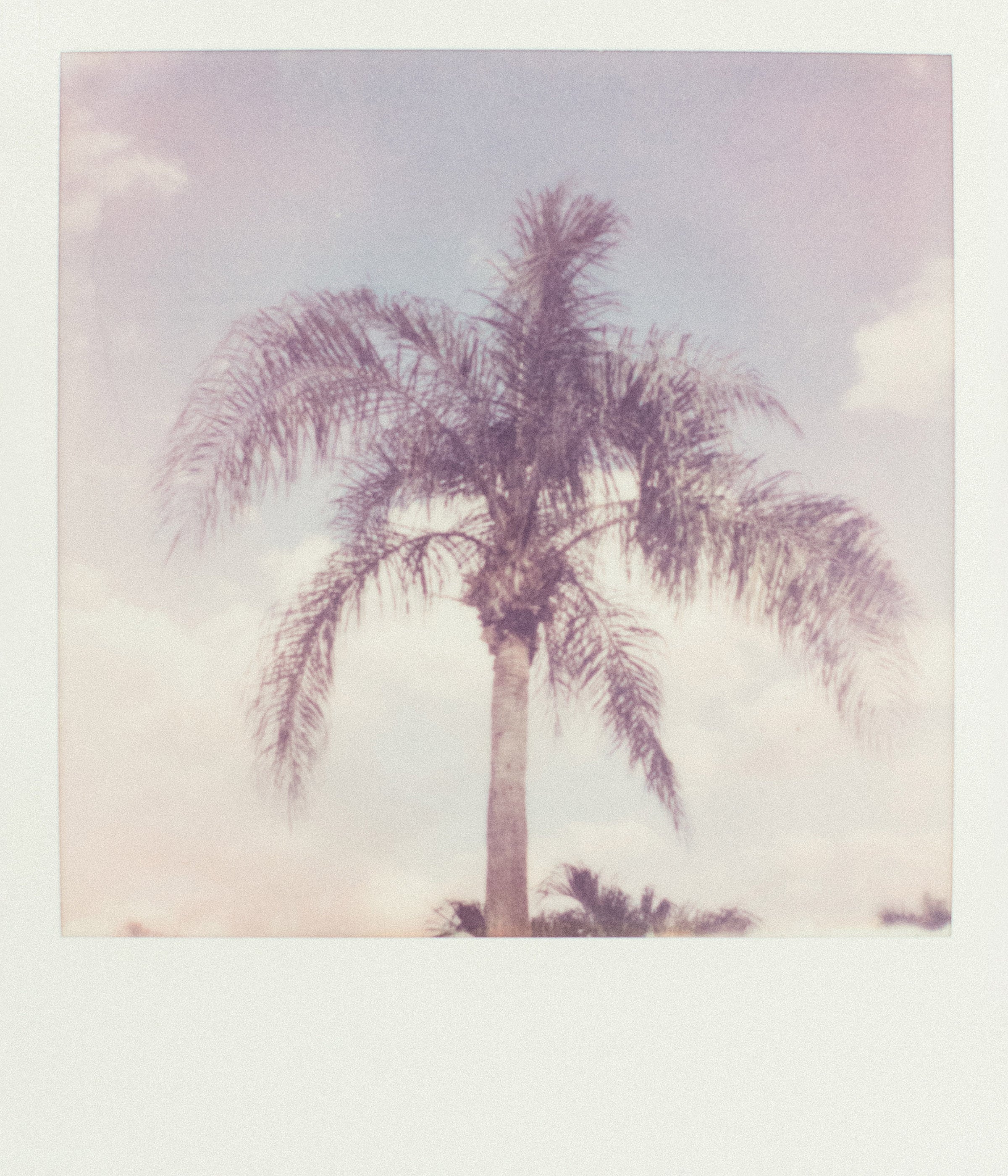 Dragable Image