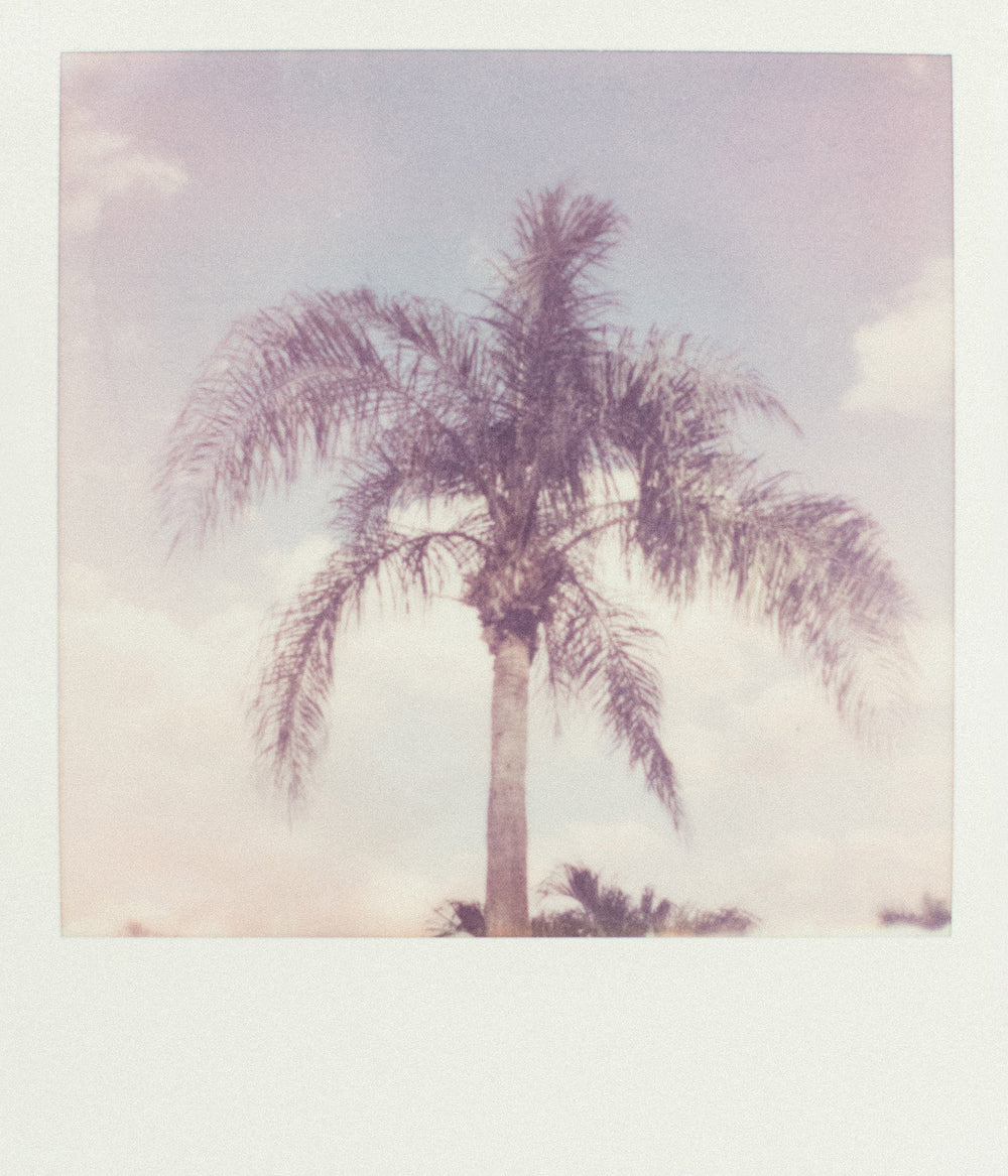 Floating on a Coastal Breeze