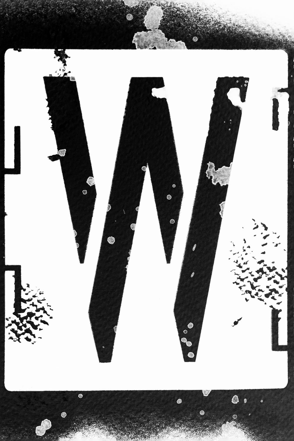 BW W
