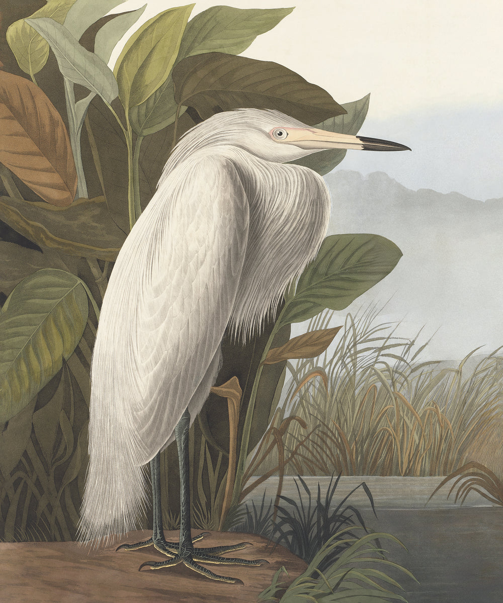 Whispers of the Marsh I