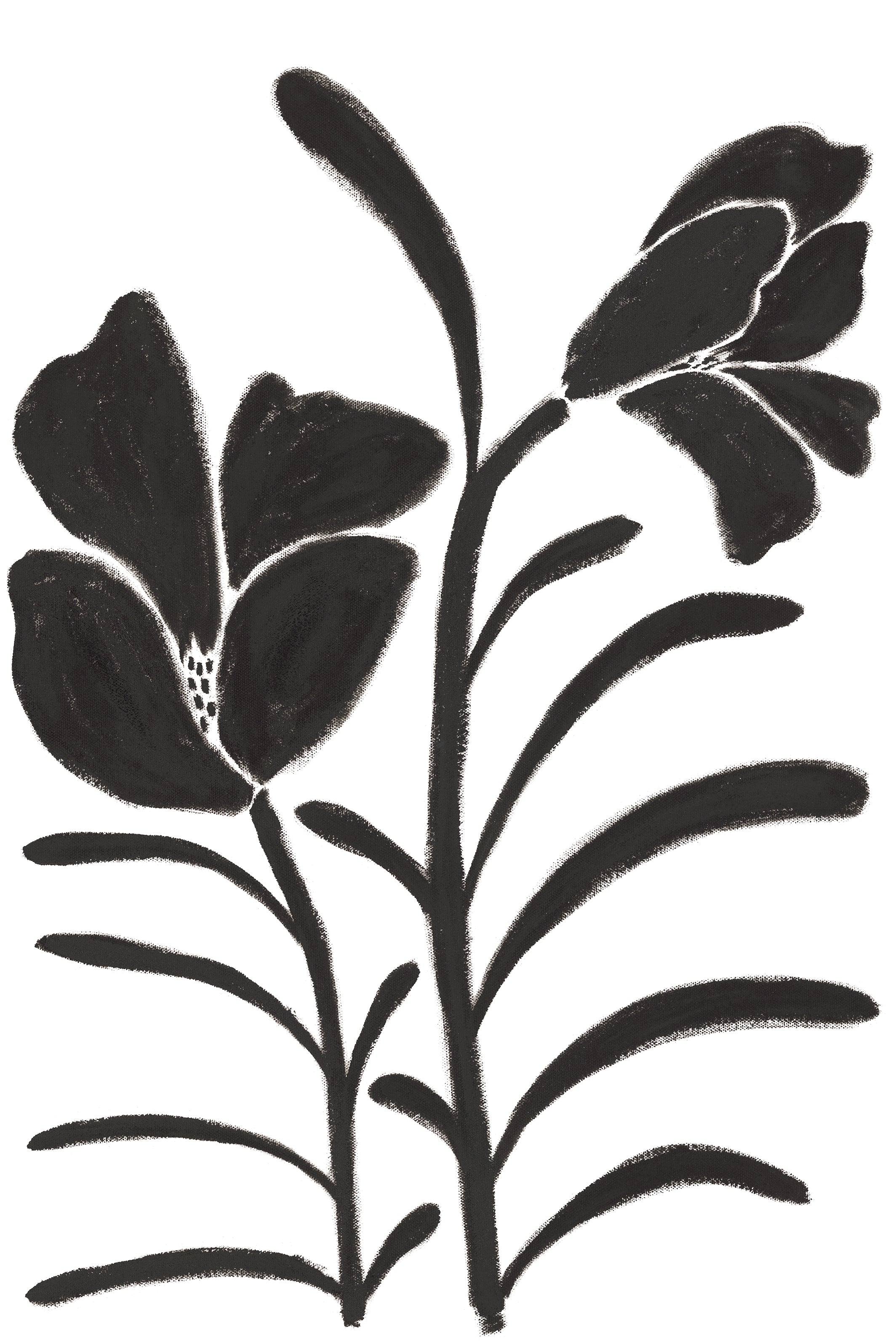 Dragable Image