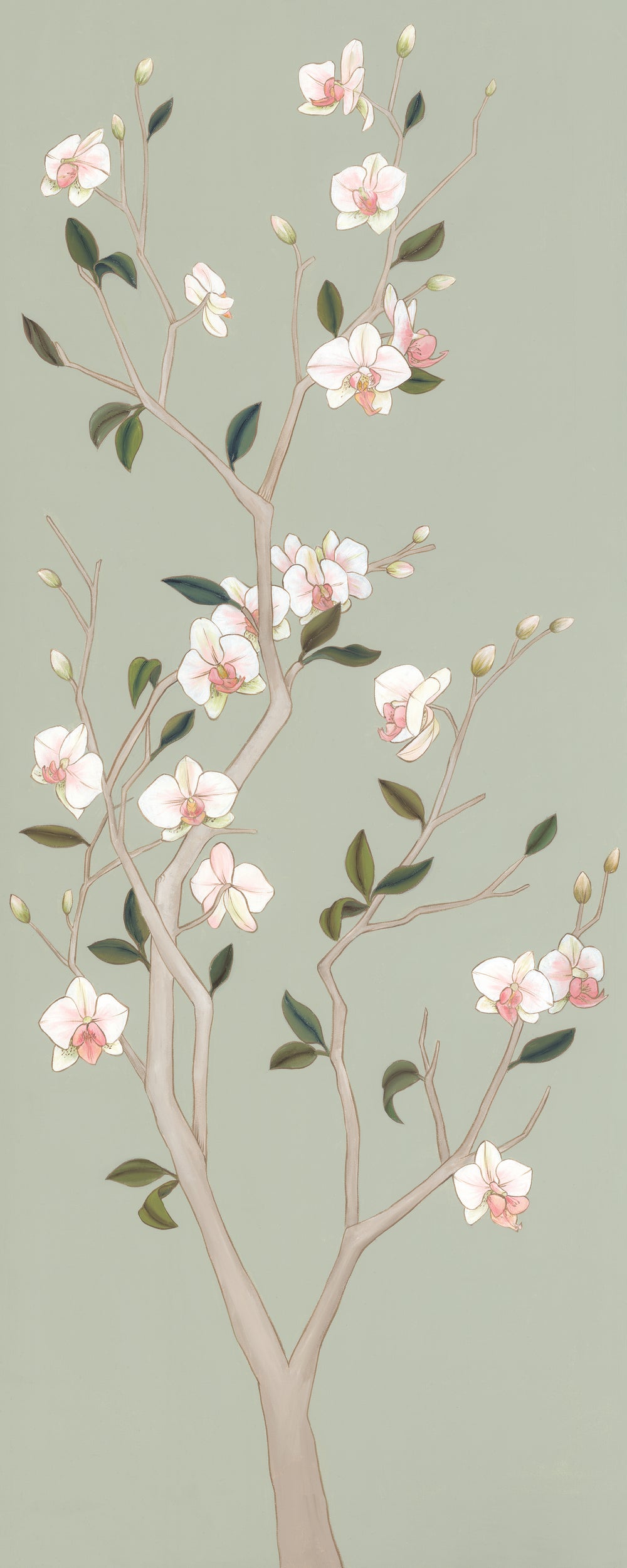 Magnolia Tree II