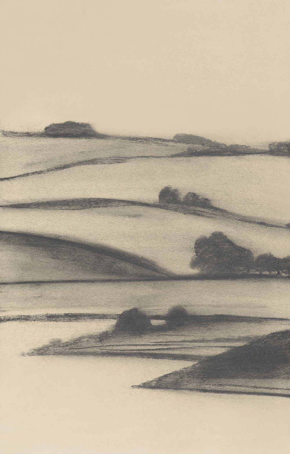 Land Studies II