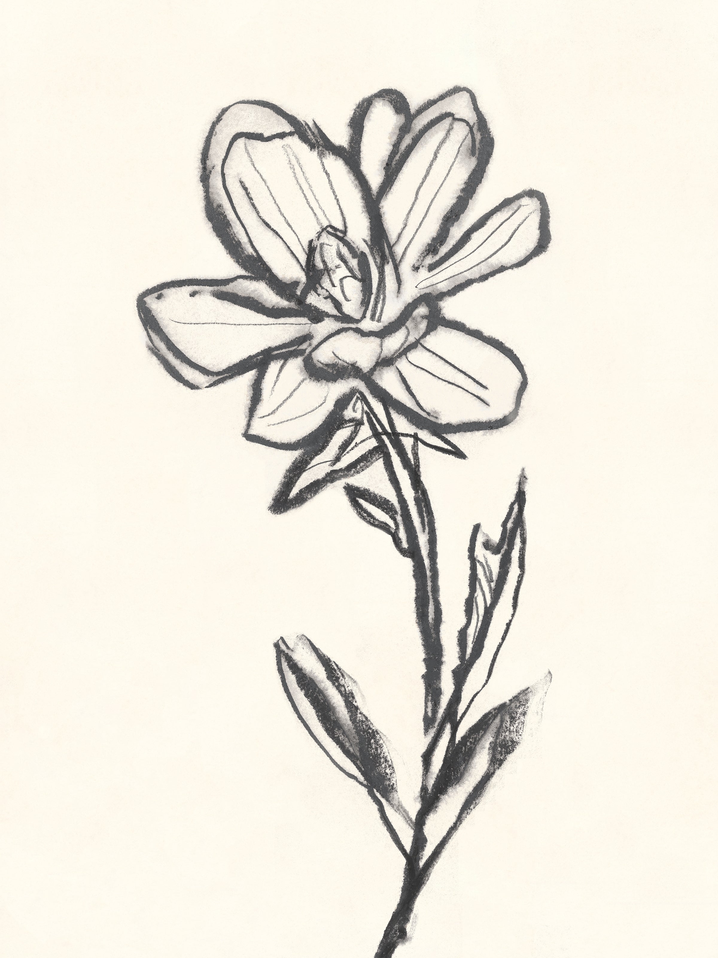 Dragable Image