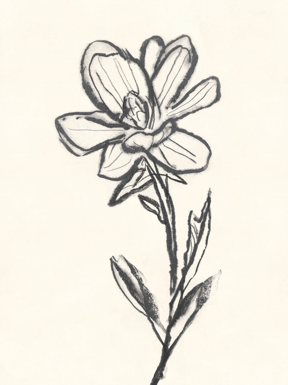 Floriculture II