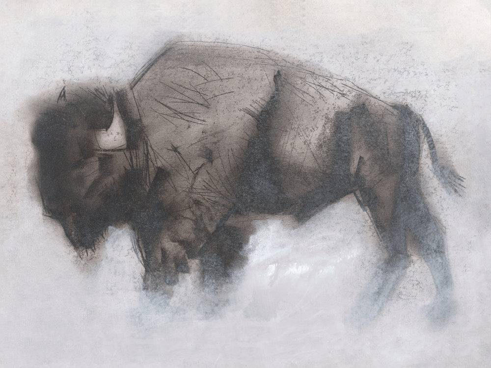 Big Bison
