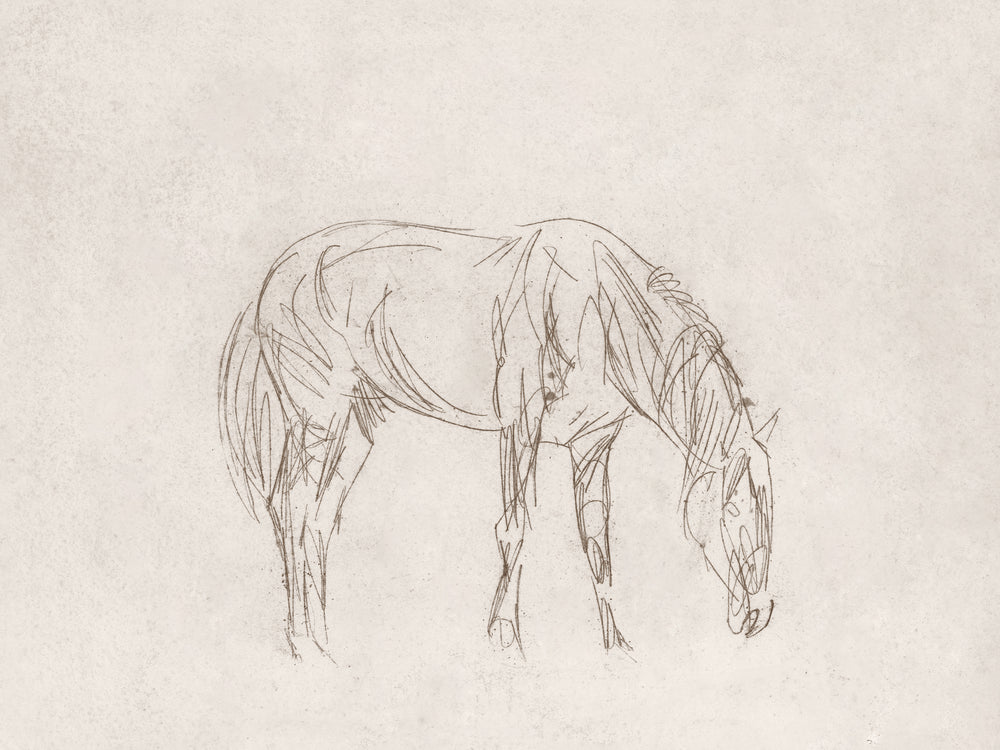 Equine Impression I