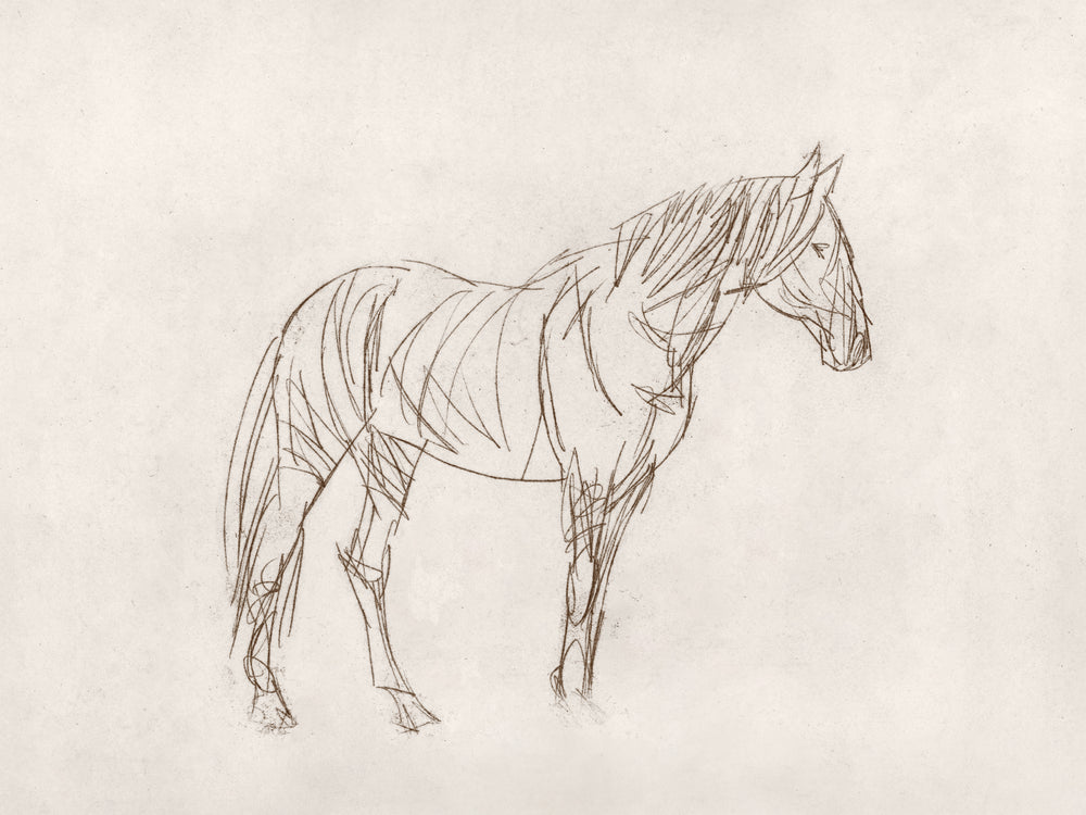 Equine Impression II