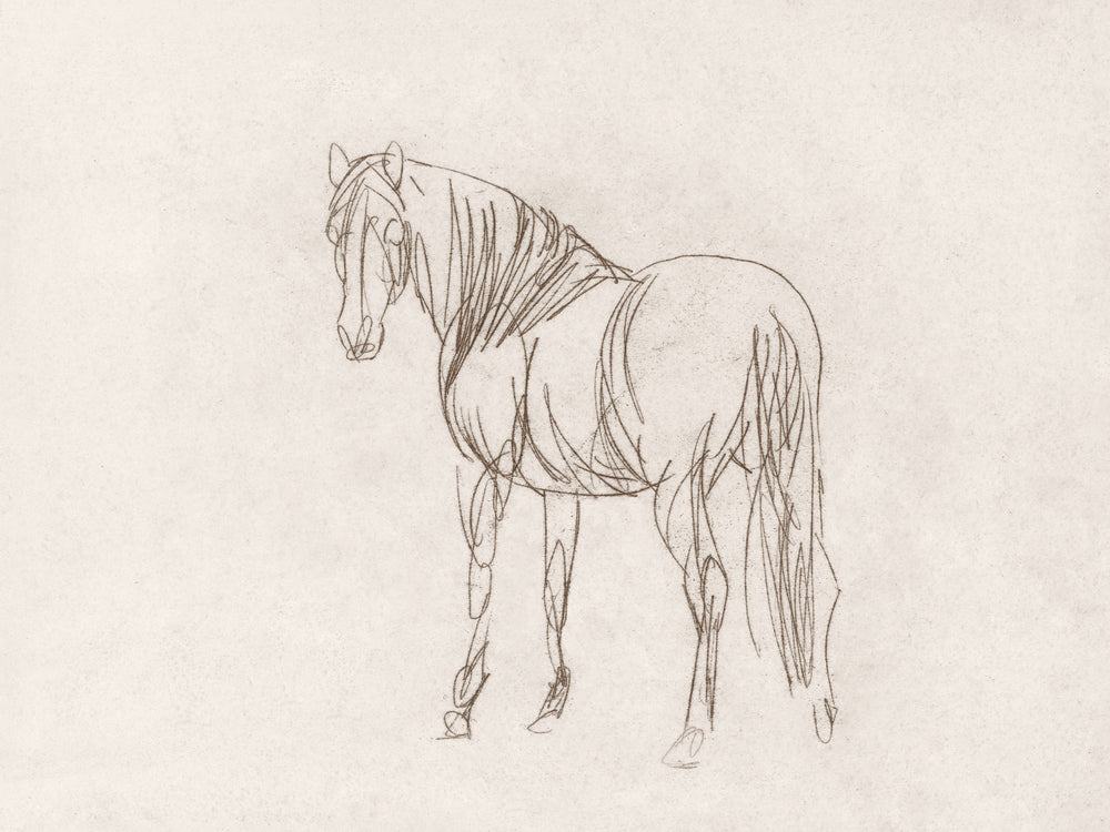 Equine Impression III