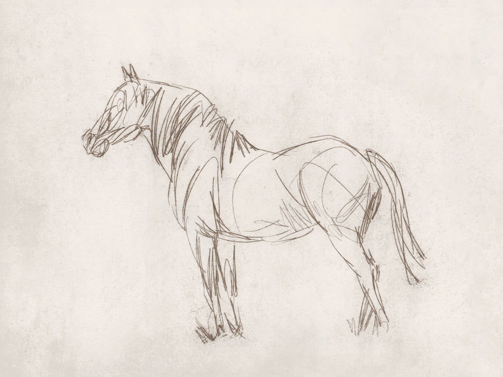 Equine Impression IV