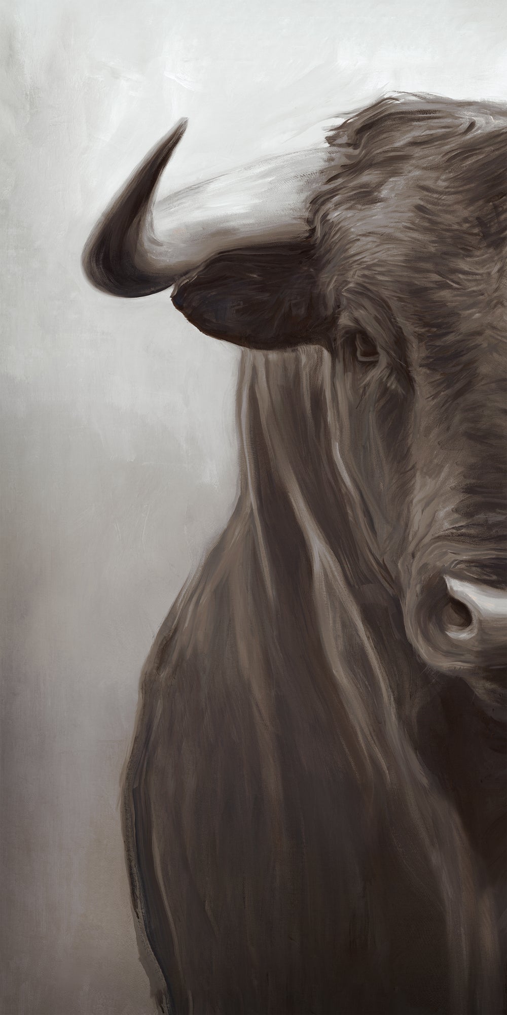 Portrait of a Bull II