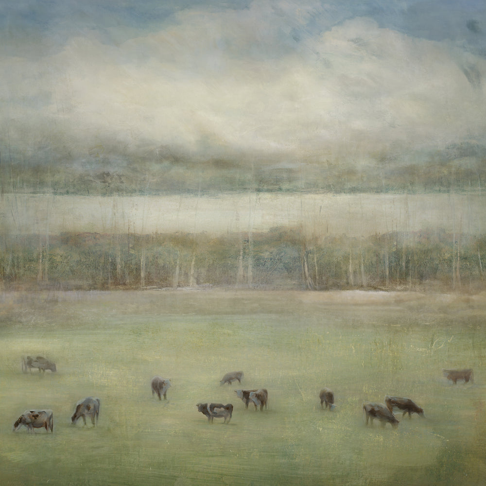 Herd of Cows