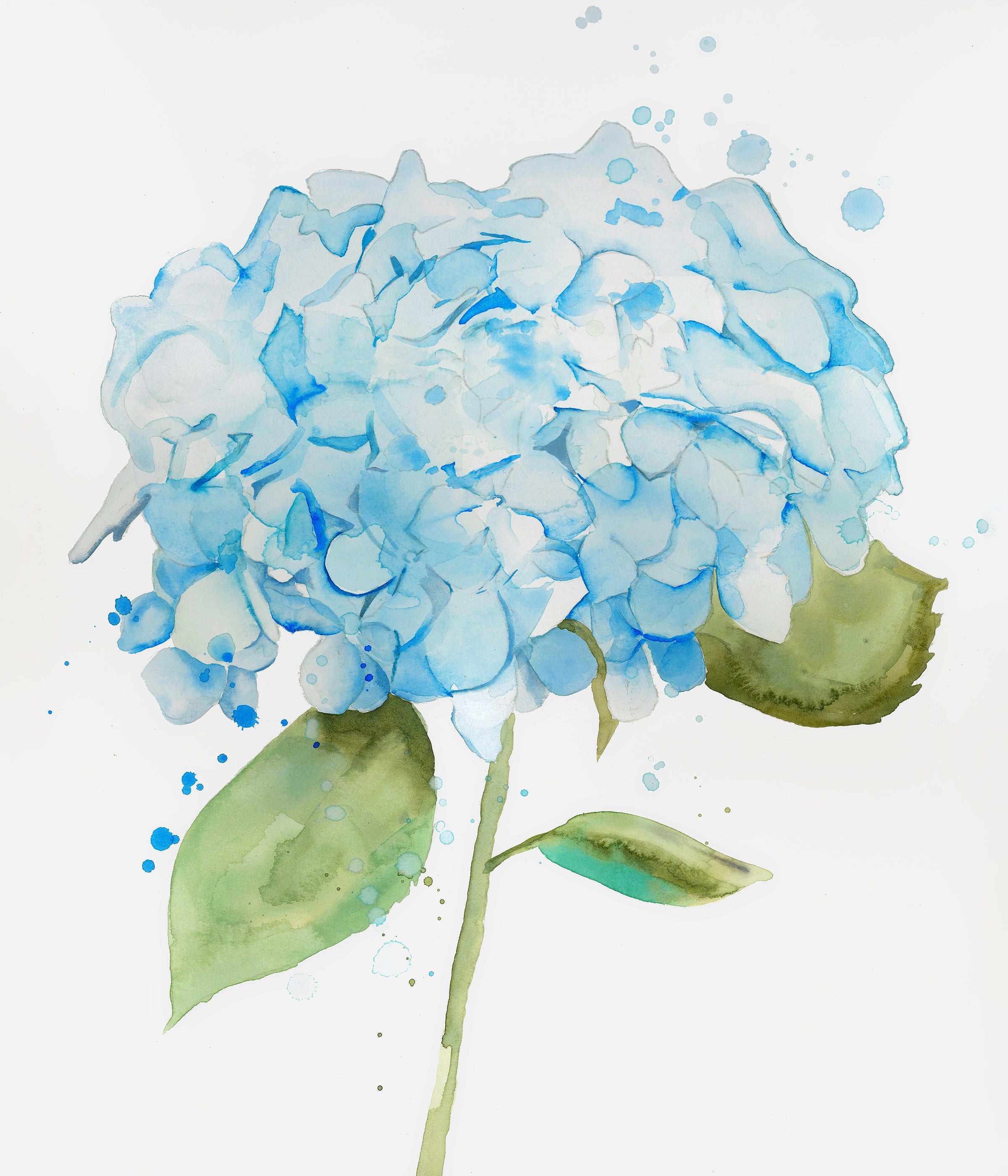 Dragable Image