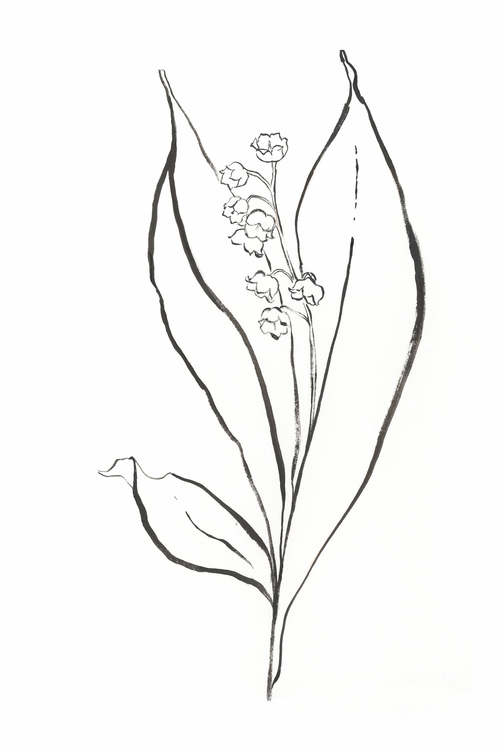 Dragable Image