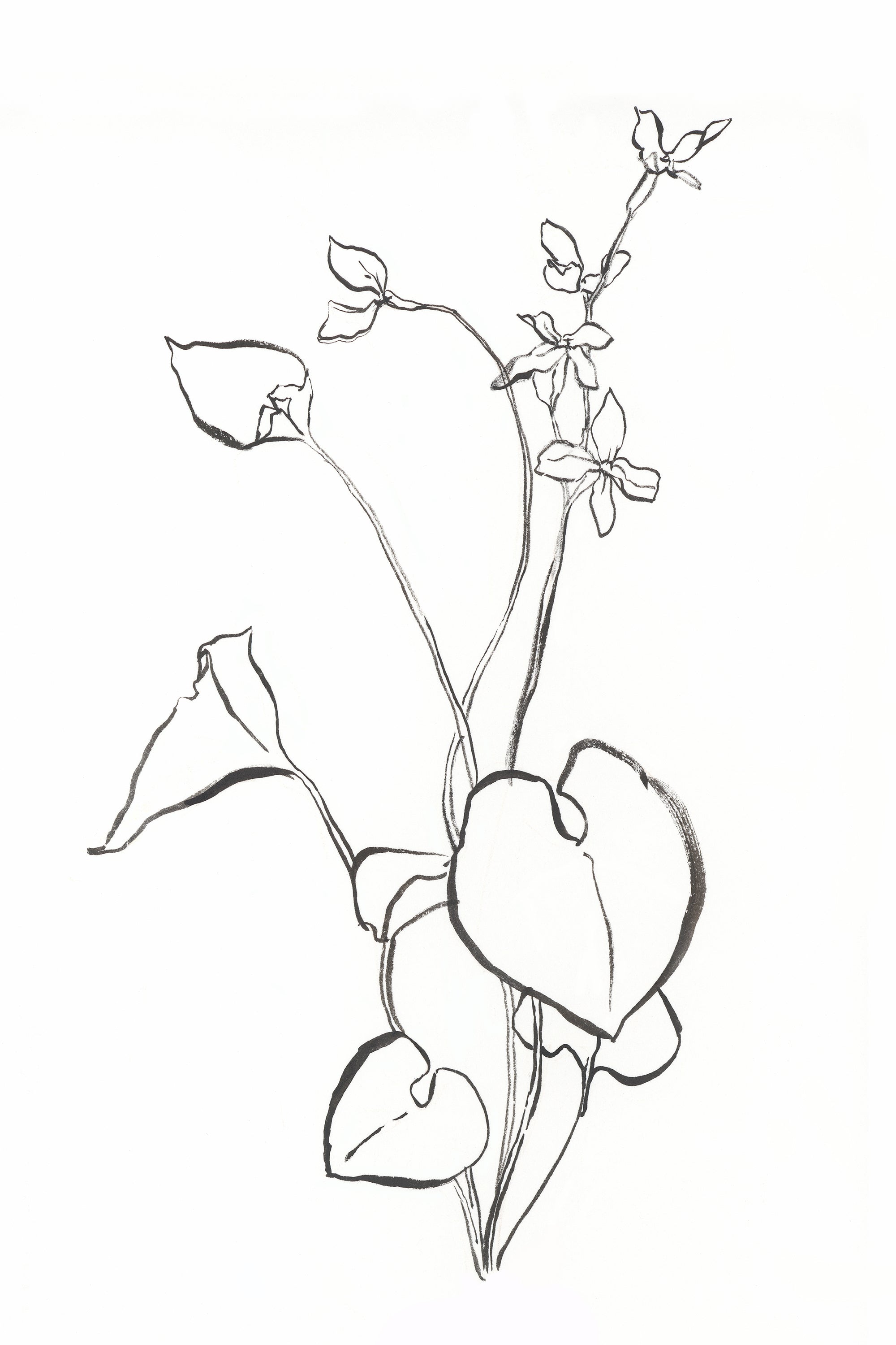 Dragable Image