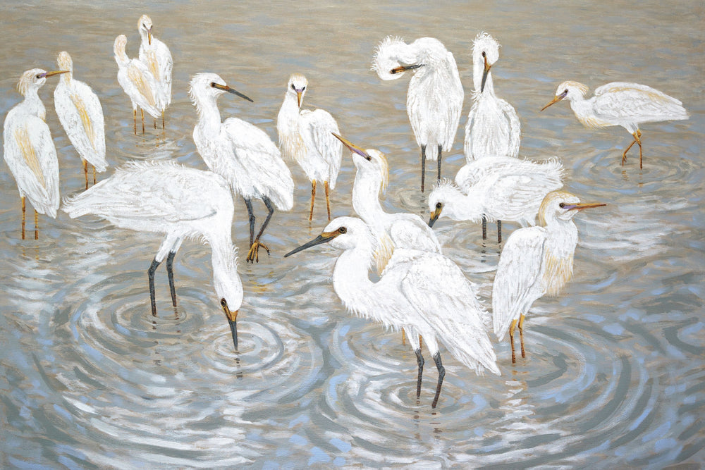 Herons and Egrets