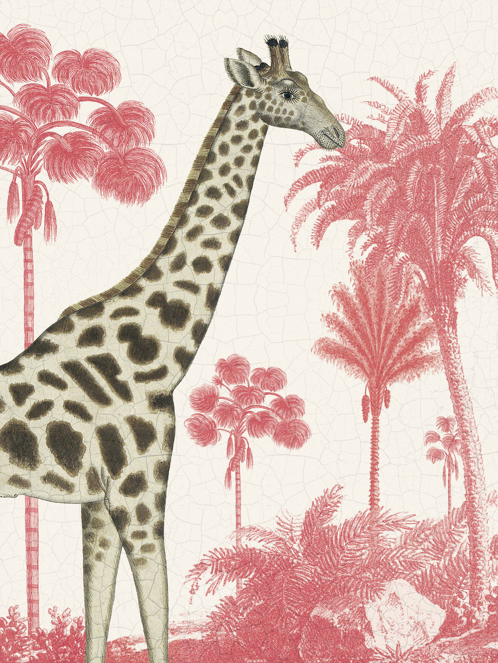Wild Wonderland - Giraffe