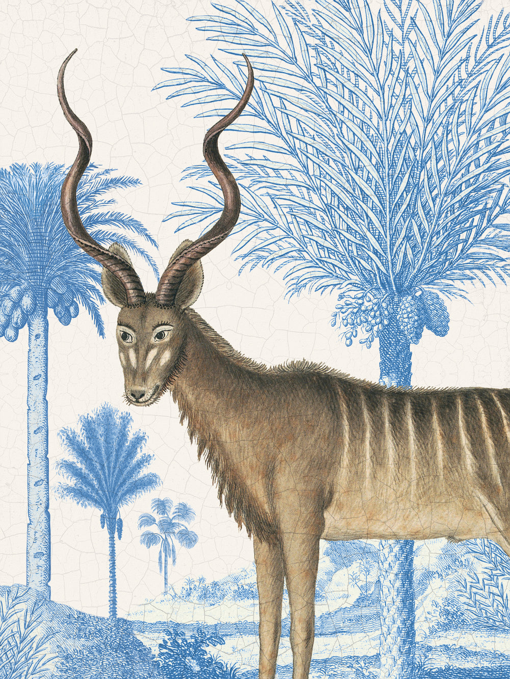 Wild Wonderland - Kudu
