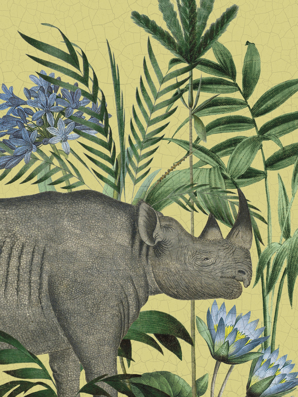 Wild Wonderland - Rhino