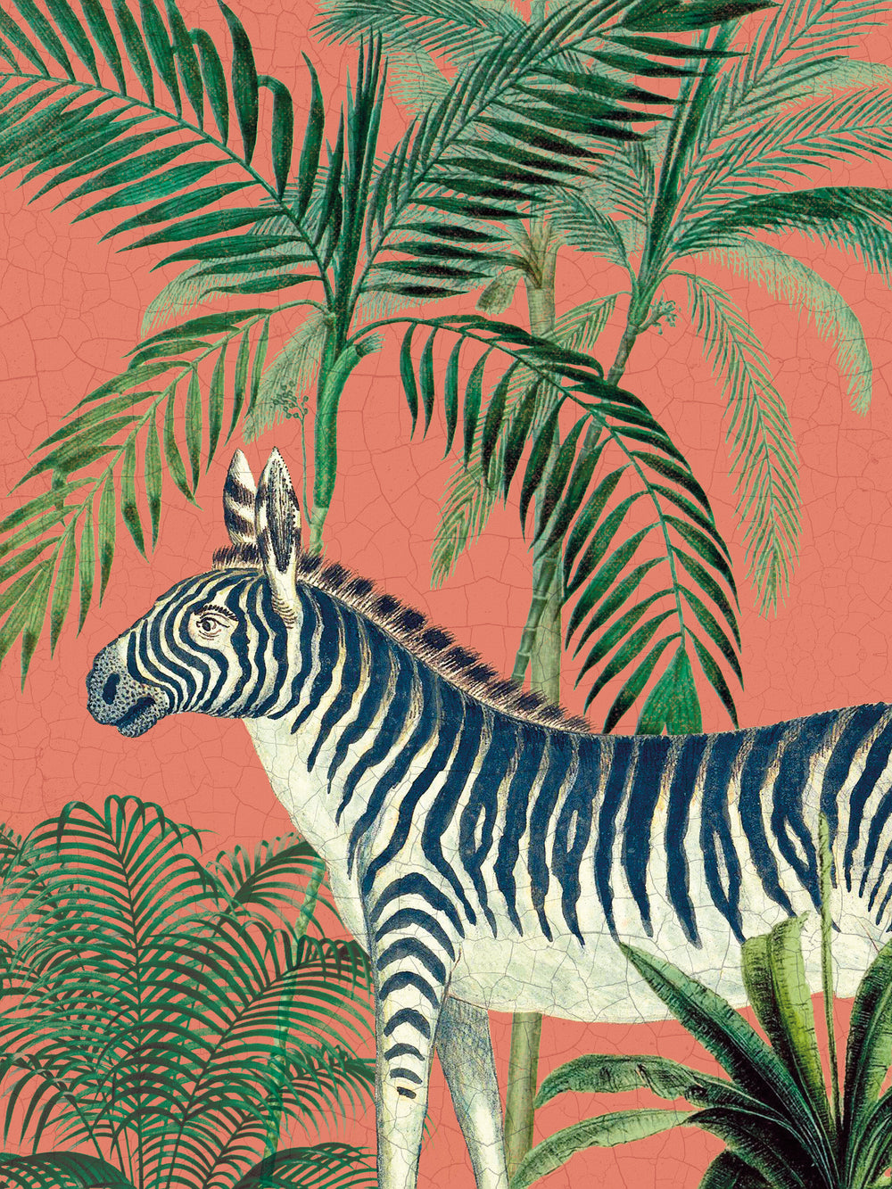 Wild Wonderland - Zebra