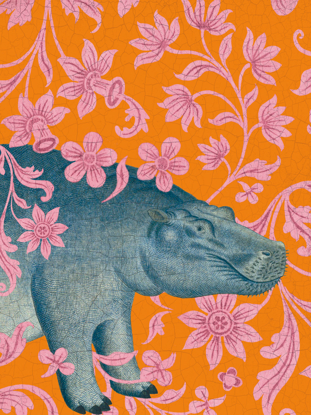 Wild Wonderland - Hippo