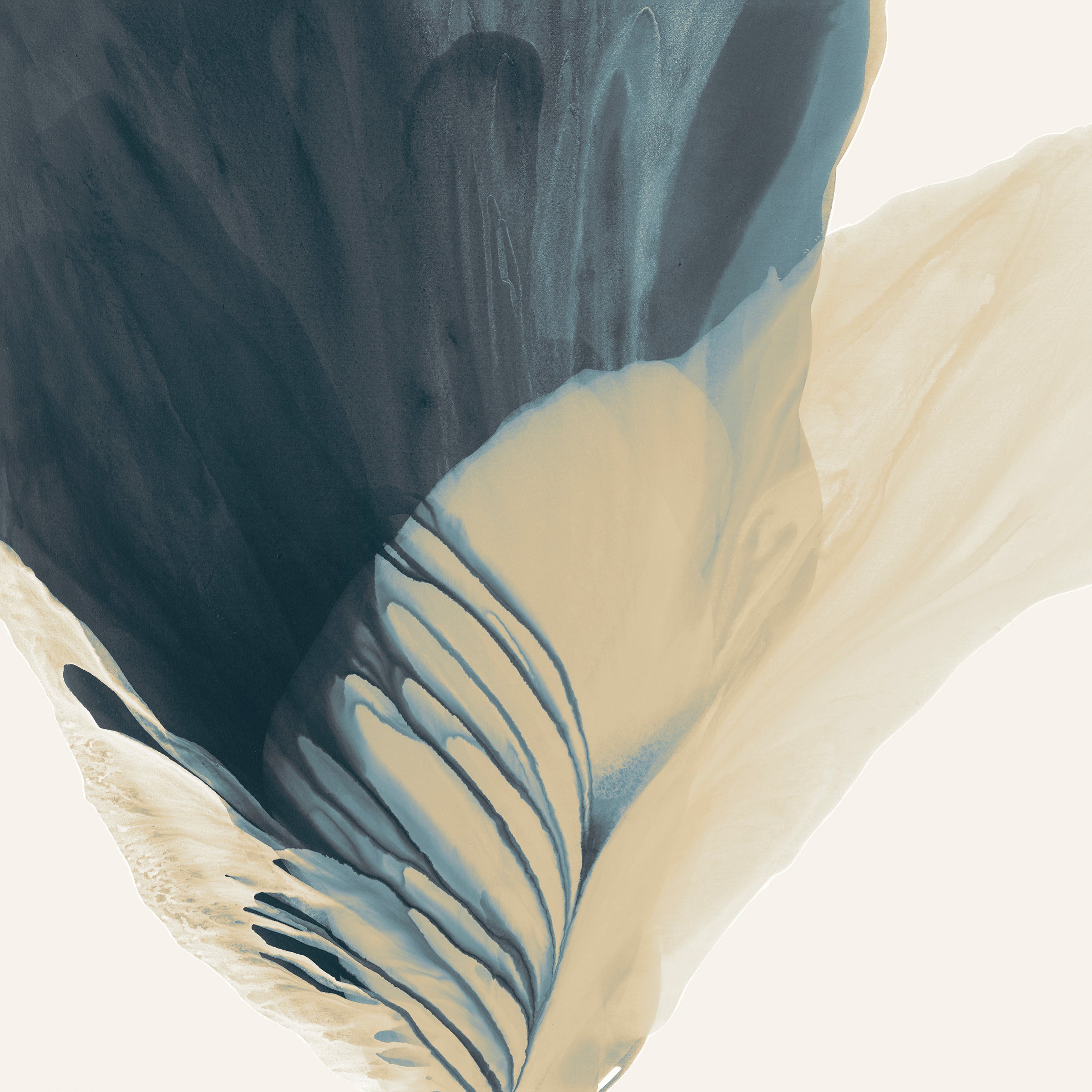 Dragable Image