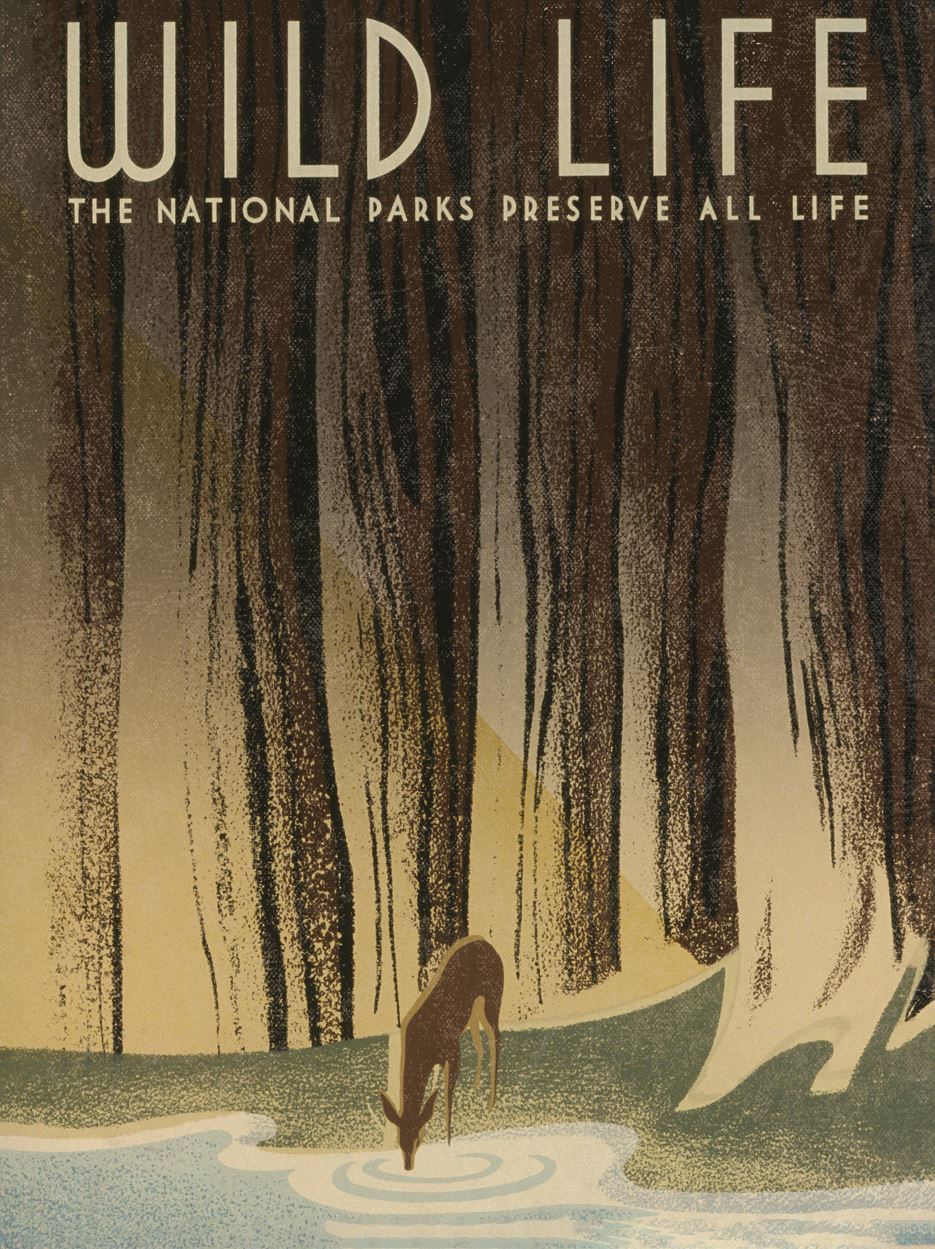 Wild Life