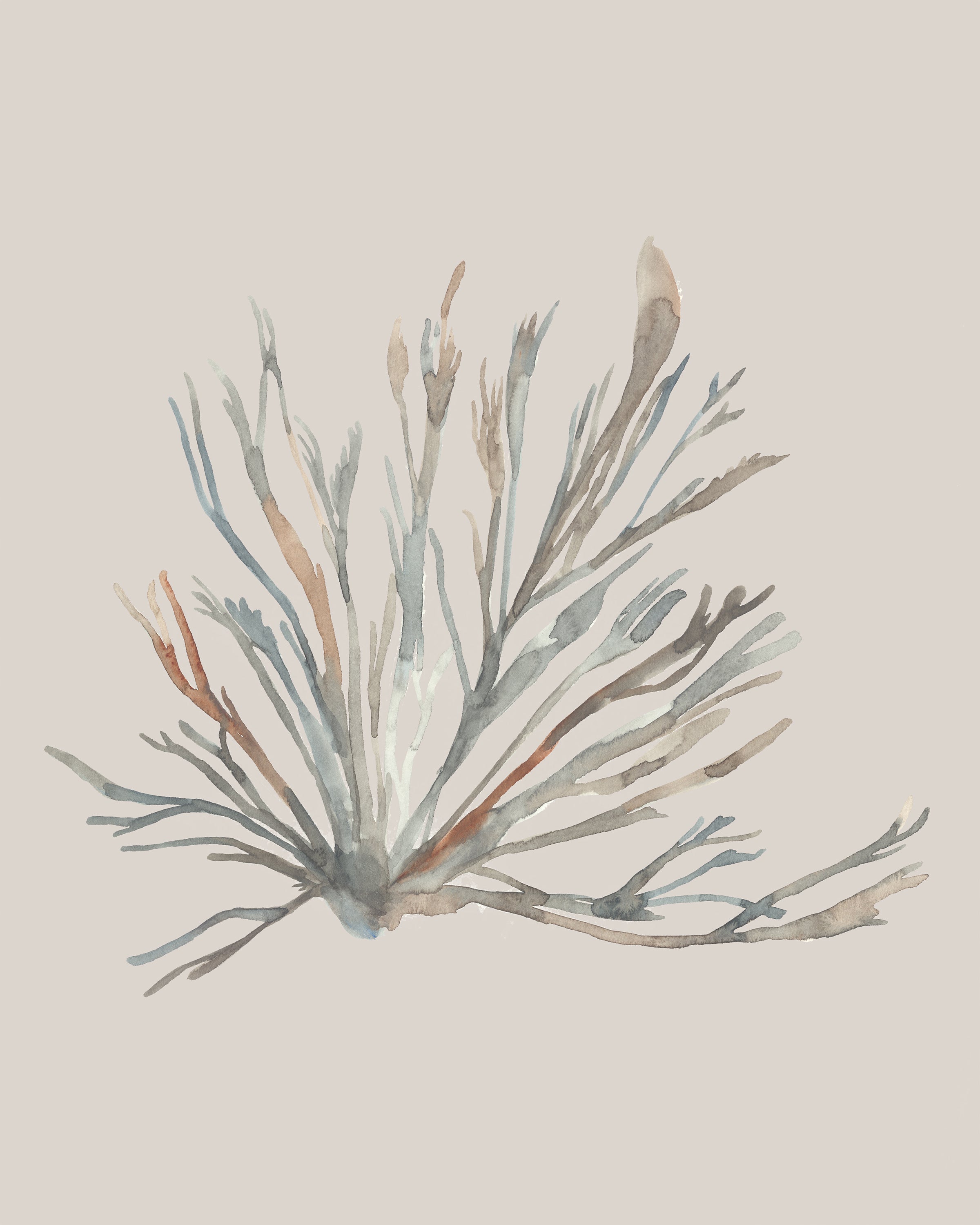 Dragable Image