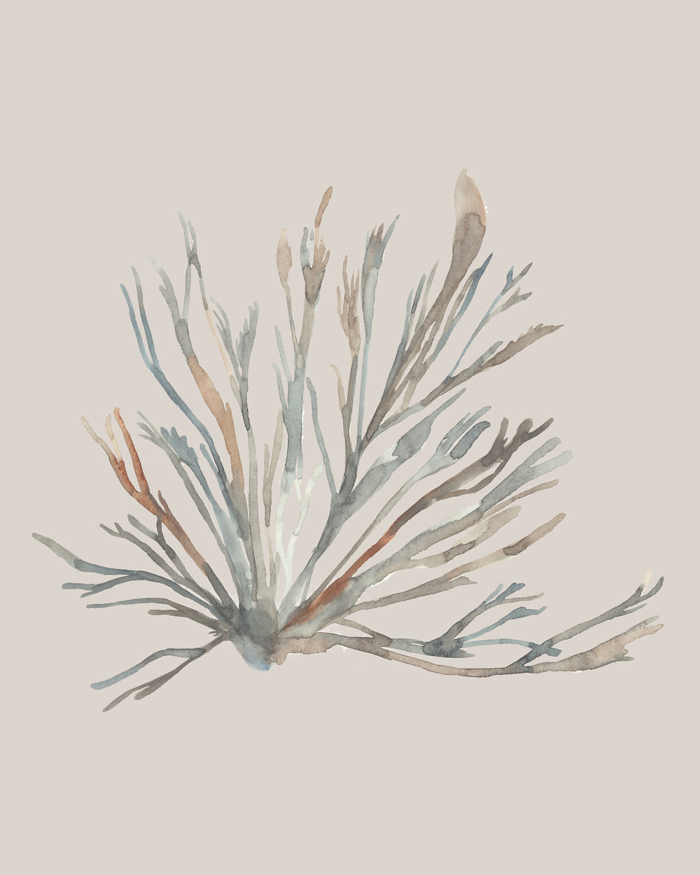 Water Colored Seaweed XI