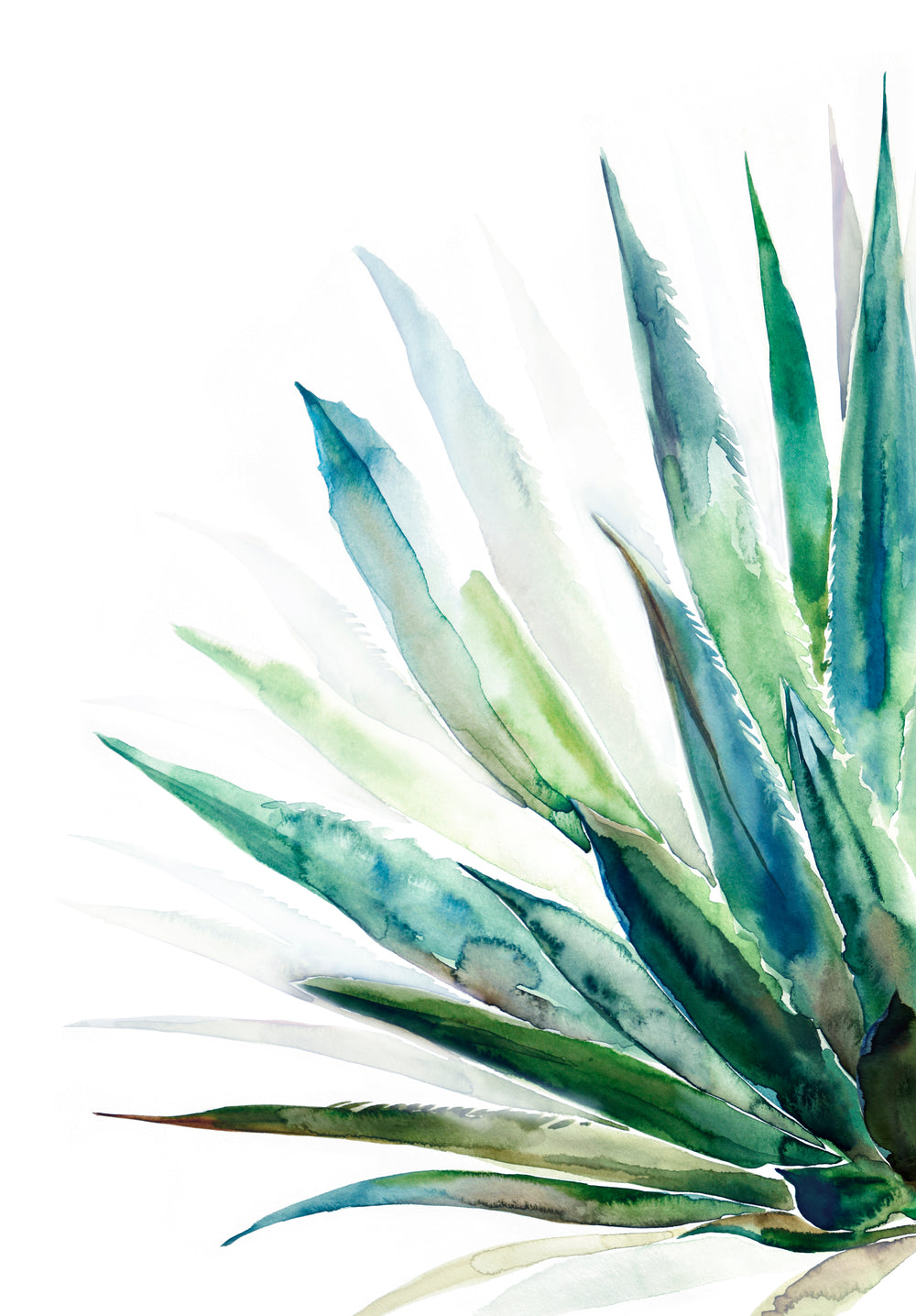 Verde Agave I