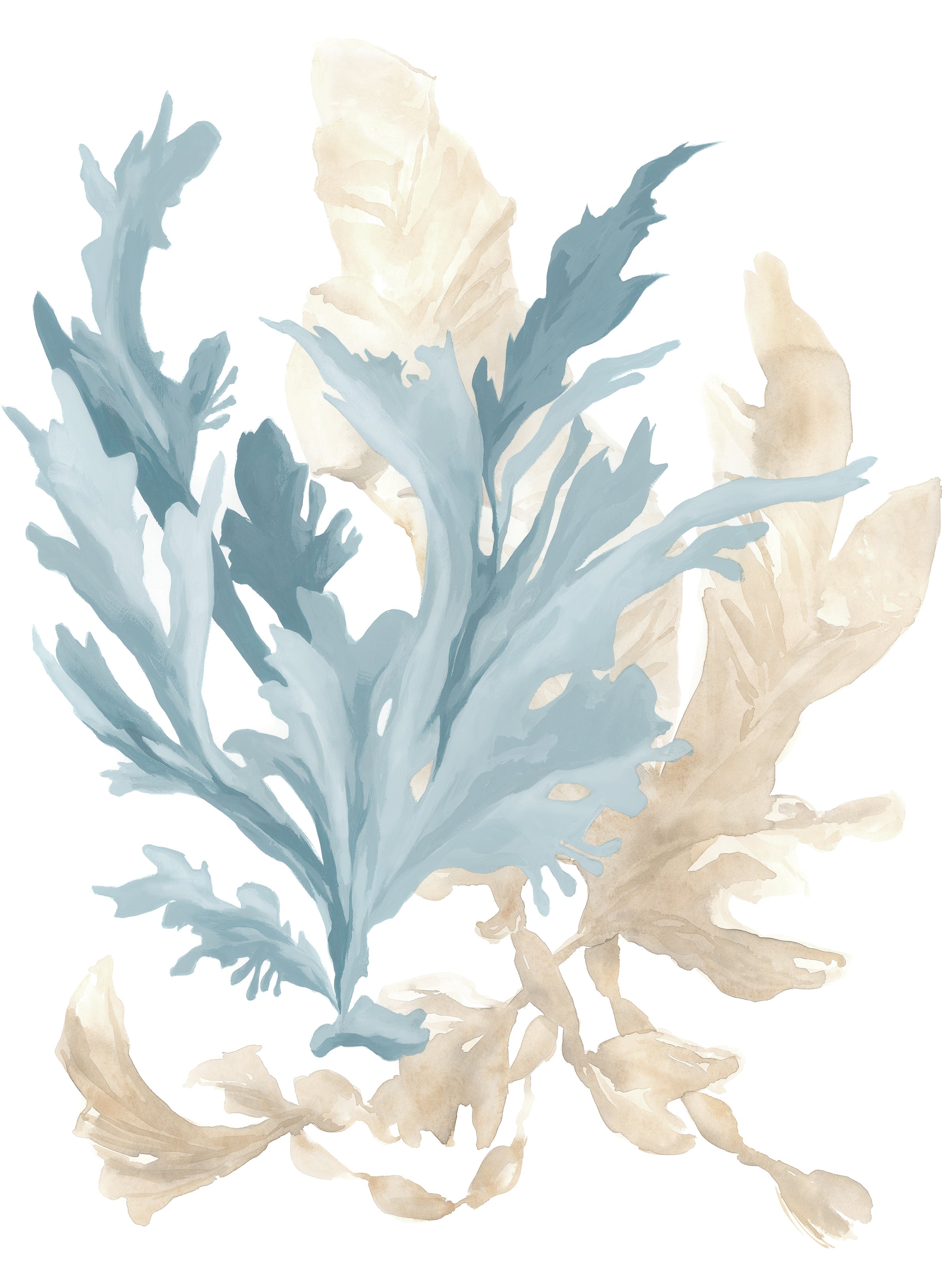 Dragable Image