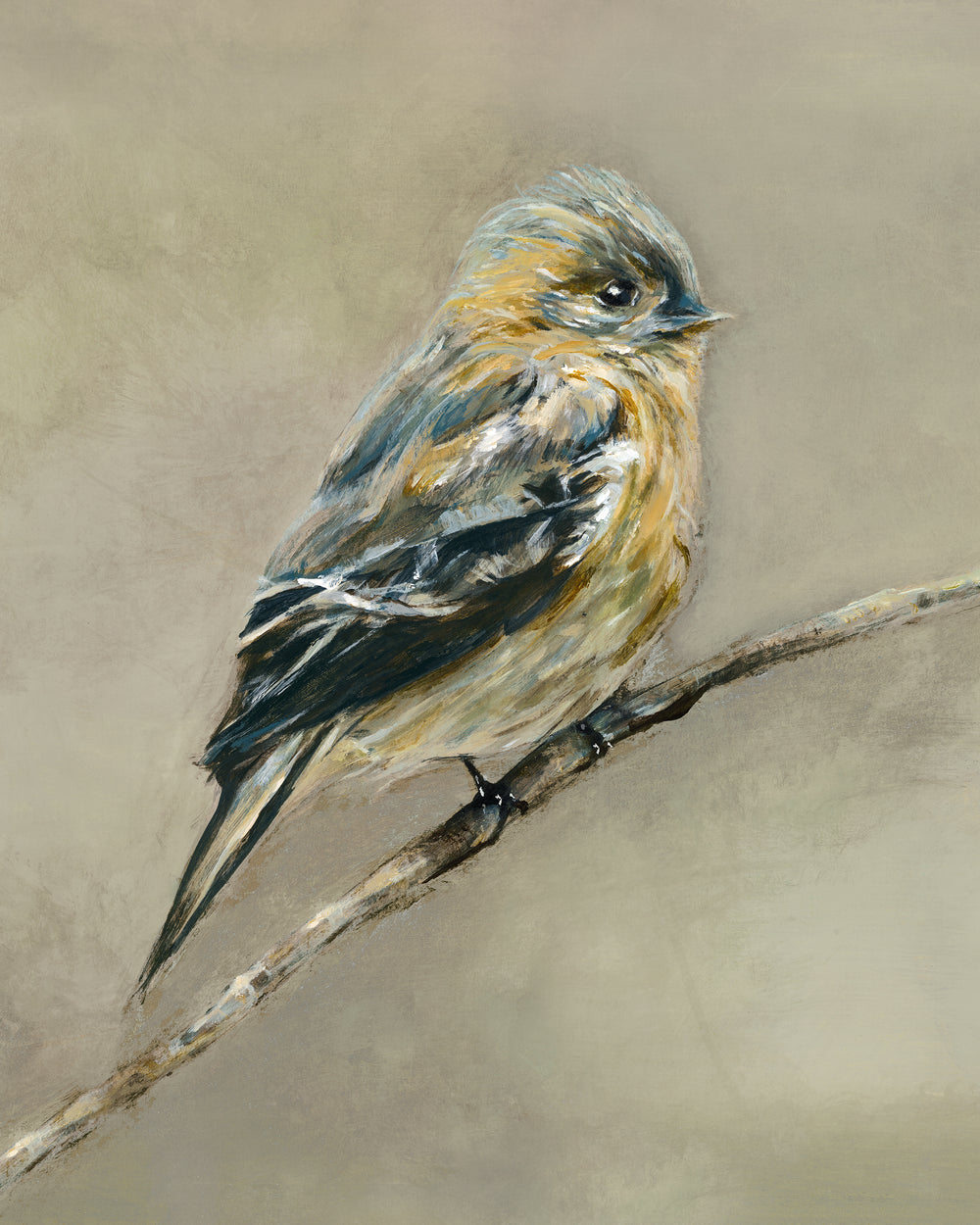 Songbird III