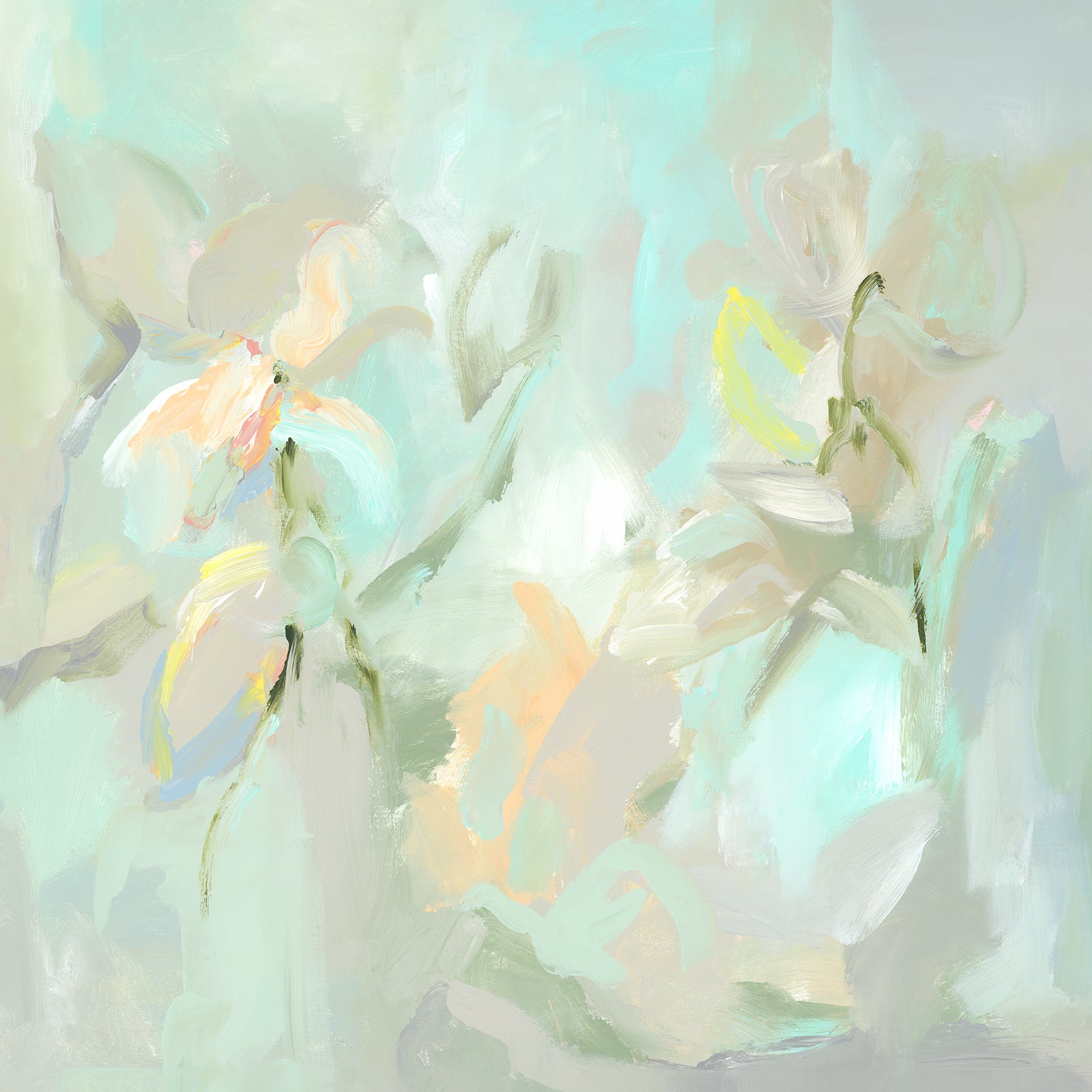 Dragable Image
