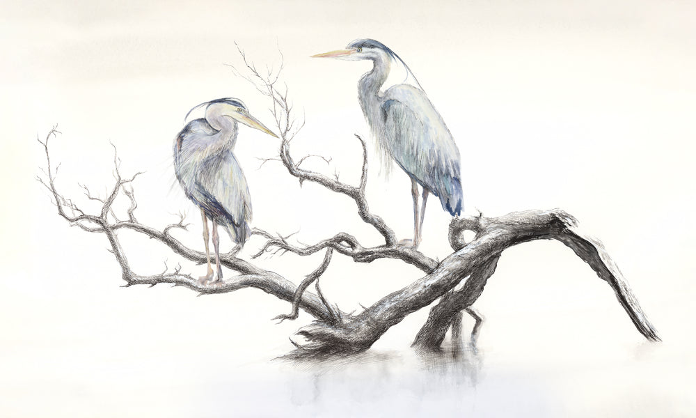 Still Waters' Guardians