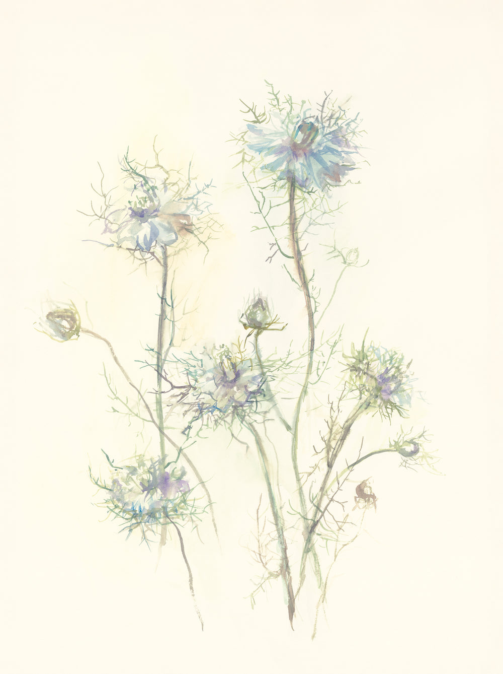 Secrets of the Meadow I