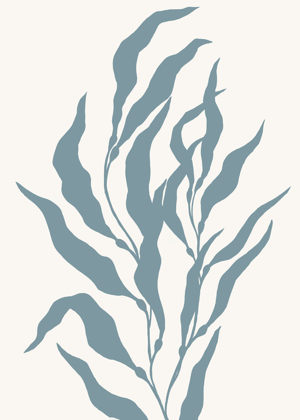 Pacific Kelp I