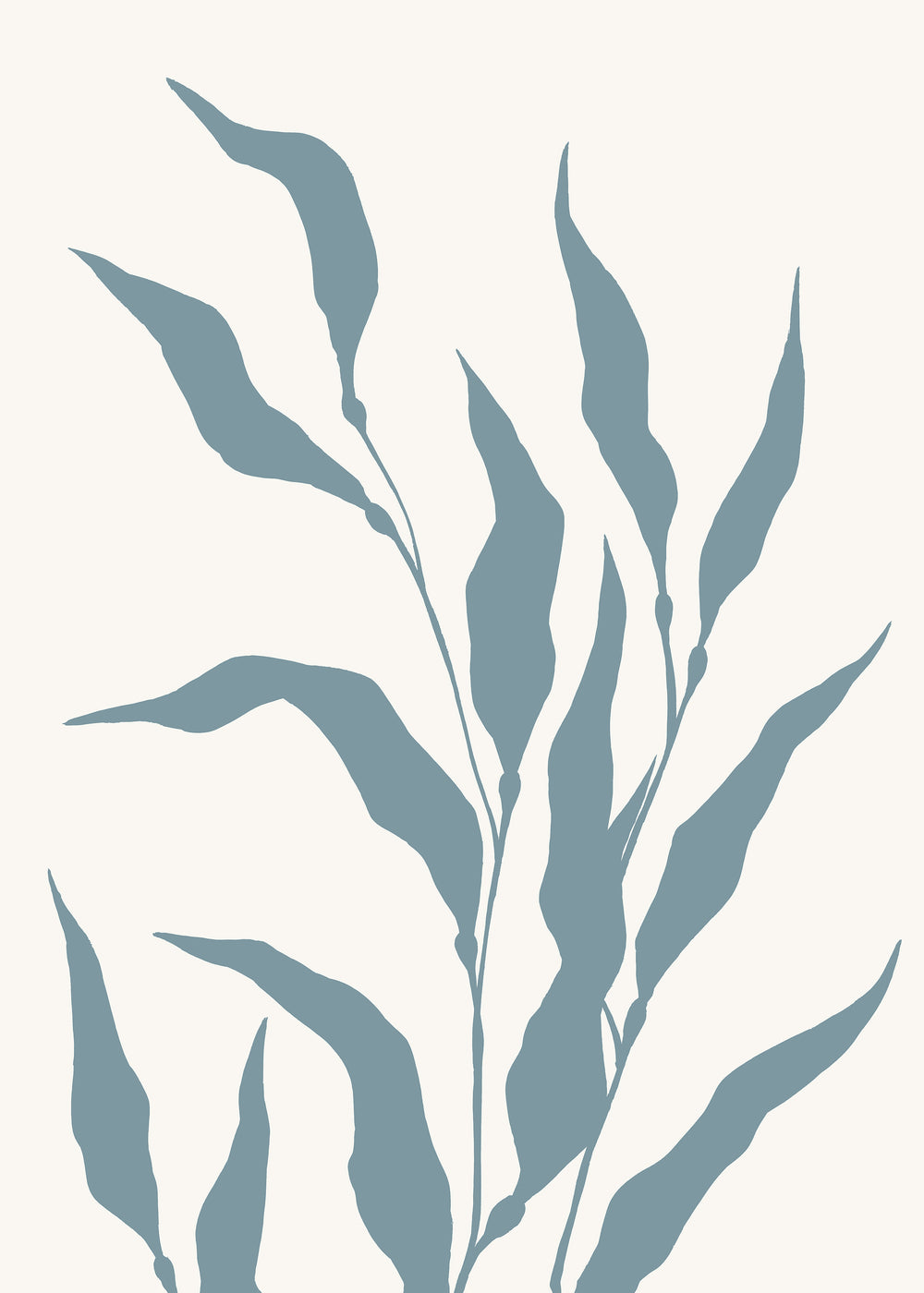 Pacific Kelp II