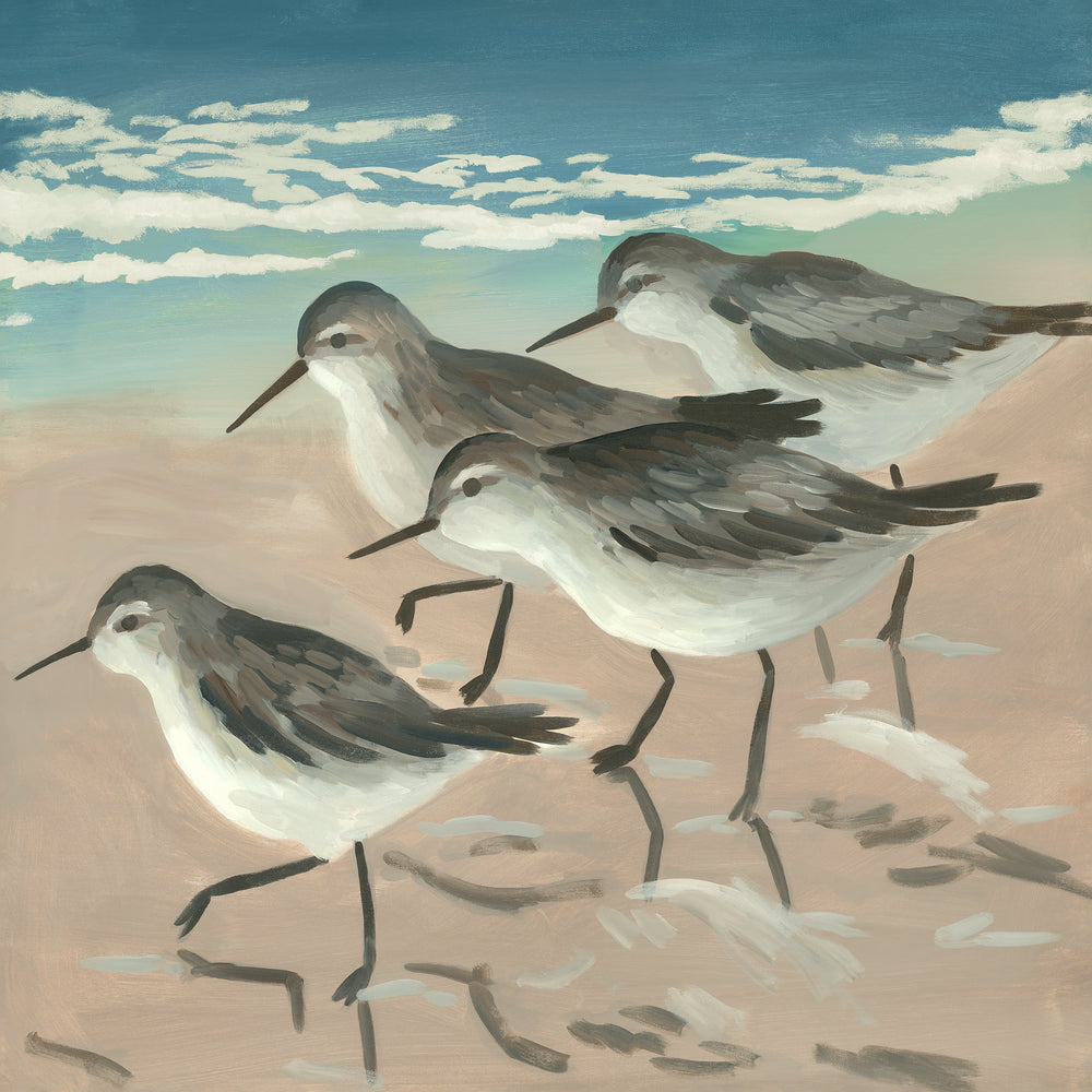 Sand Fishing IV