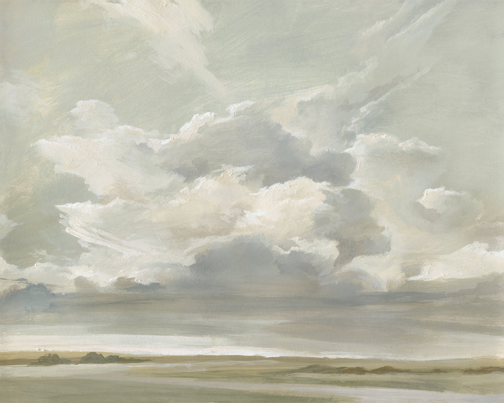 Capturing the Passing Cloud
