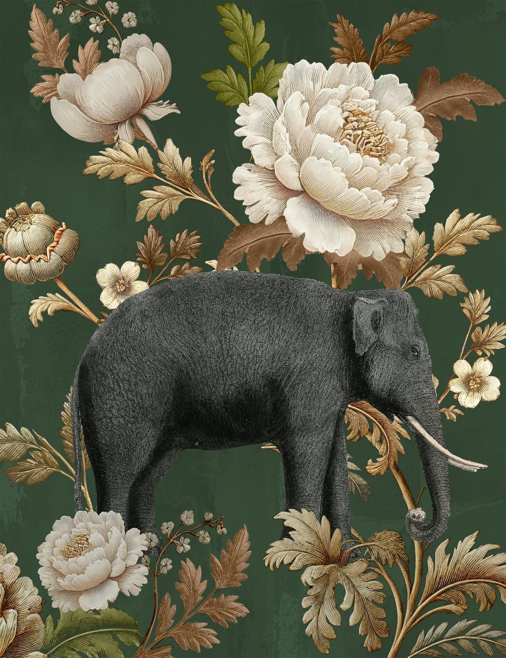Grace of the Jungle I