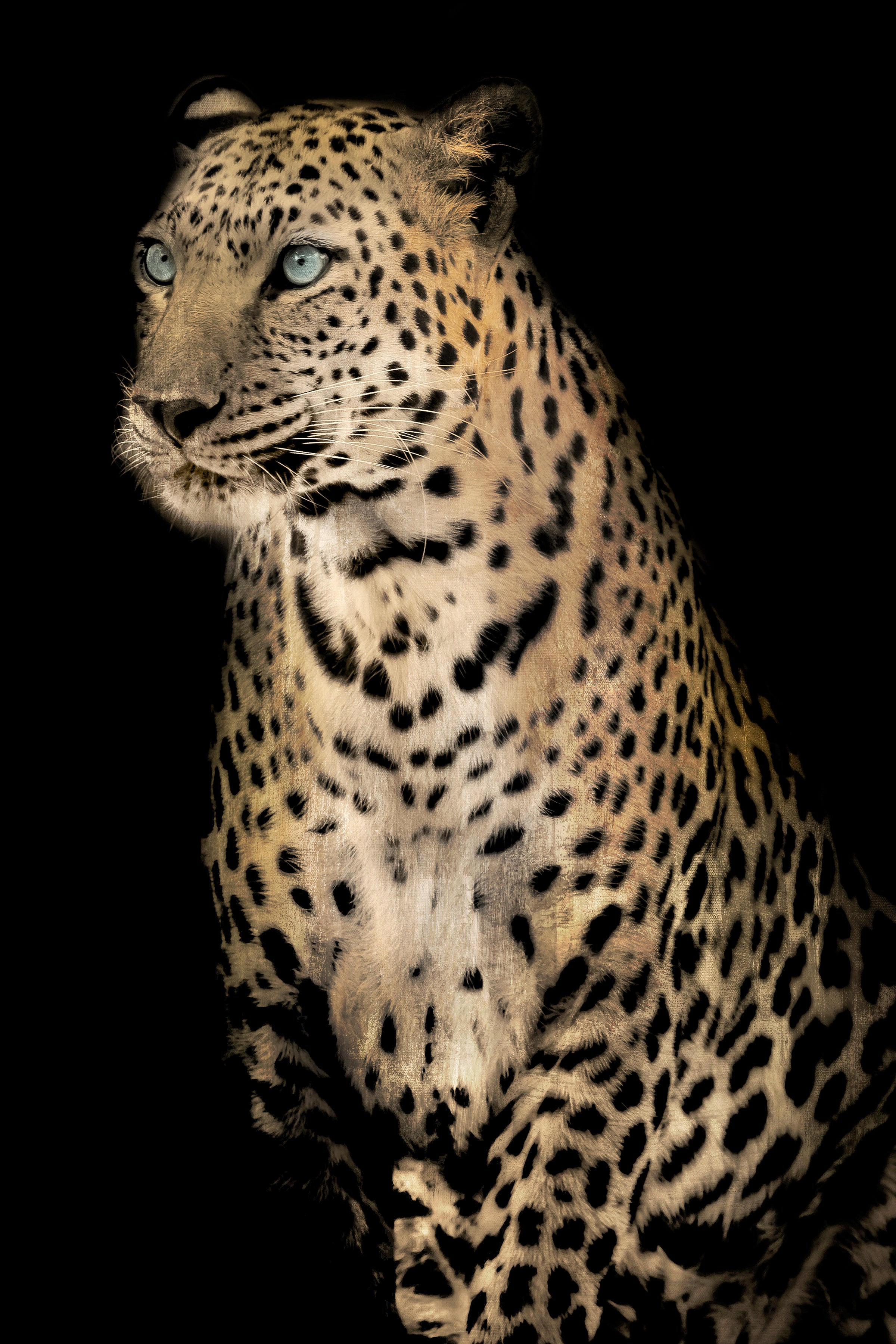 Dragable Image