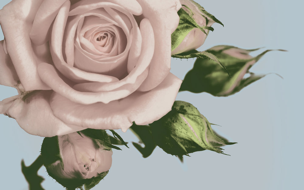 Vintage Florals A