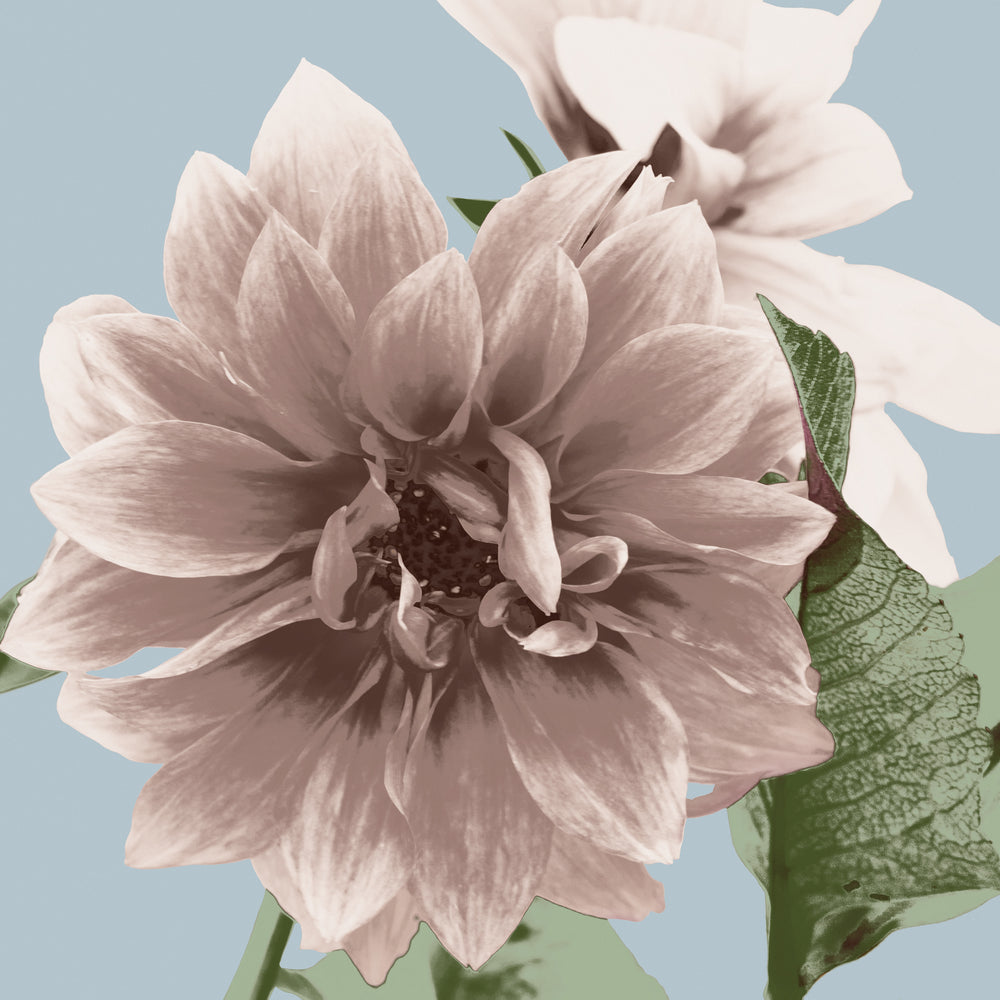 Vintage Florals D