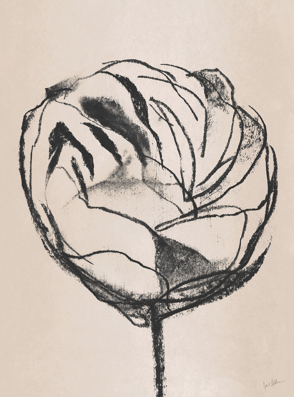 Bloom